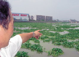 凯发k8官网登录